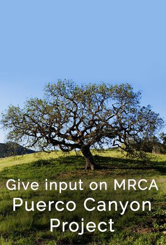 MRCA Puerco Canyon Project 