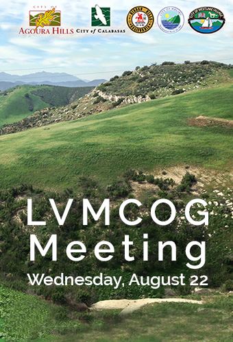 LVCOG Meeting