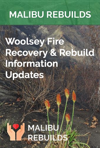 Rebuilds Update Newsflash