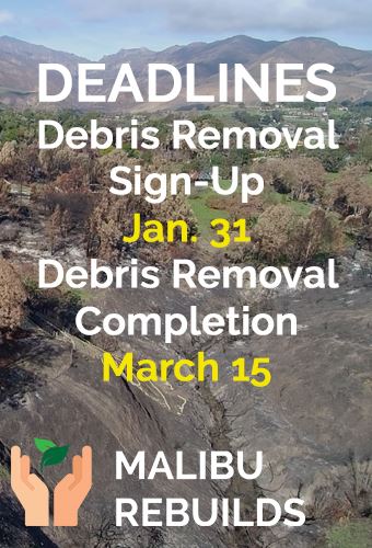 Debris Removal Deadlines