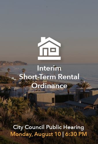 STR-interim-newsflash 8.10.20