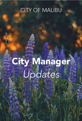 11.20 City Manager Update