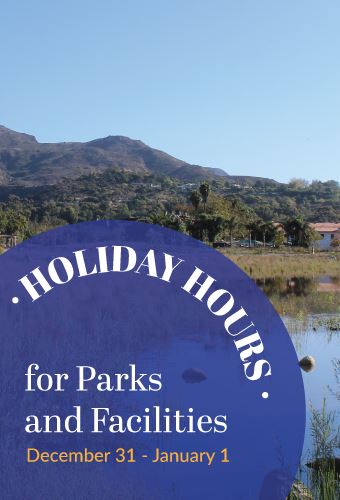 new-year-closure-newsflash