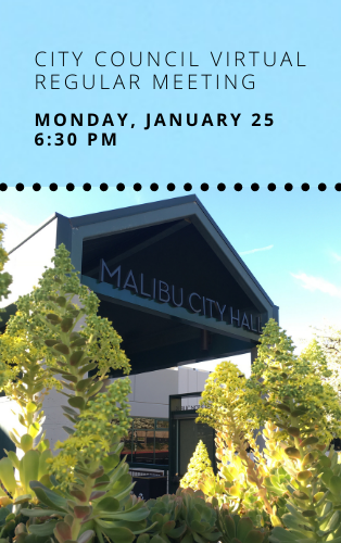 COUNCIL MEETING NEWSFLASH