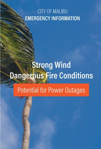 strong-winds-newsflash