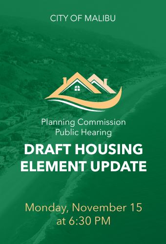 Housing-element-Newsflash