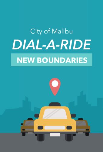 Dial-a-ride-Newsflash