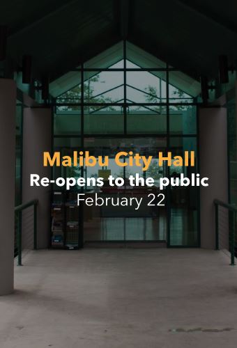 City-hall-reopens-Newsflash