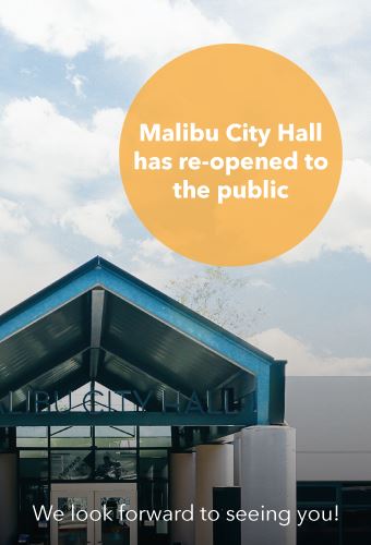 City-hall-reopens-Newsflash