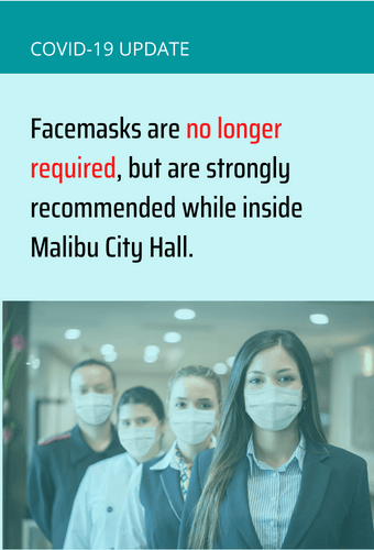 facemasks in city hall newsflash 8.4.2022