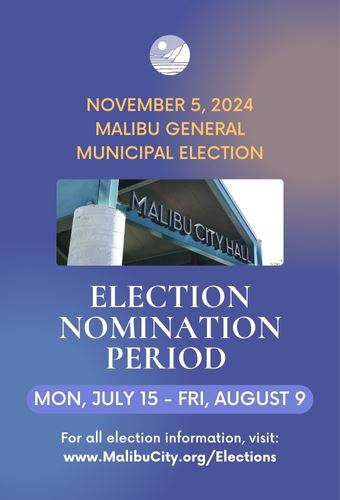 2024 Election - Newsflash