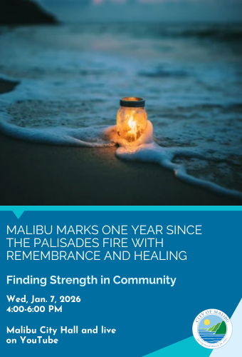 Palisades Fire 1 Year Remembrance Jan 7 