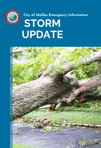 Storm Update Social  newsflash 12.29.2025