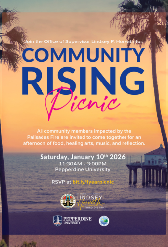 palisades anniversary social 1.10.2026 newsflash